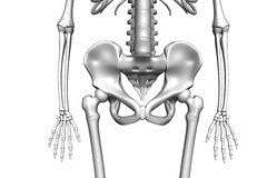 The Pelvis = πύελος=