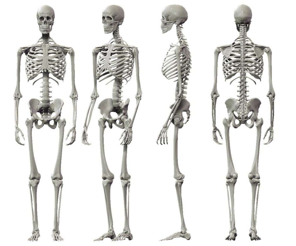 The