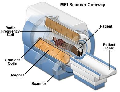 επίπεδα οξυγόνωσης του αίματος (Blood Oxygenation Level Dependent - BOLD imaging).