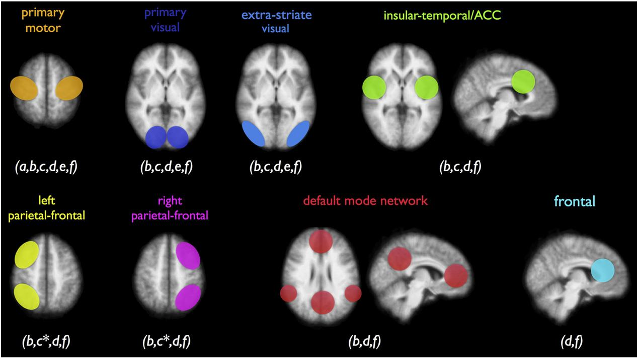 μέθοδοι ICA-based σε resting-state fmri είναι ισχυρές αφού μπορούν να εφαρμοστούν σε δεδομένα από κάθε περιοχή του εγκεφάλου.