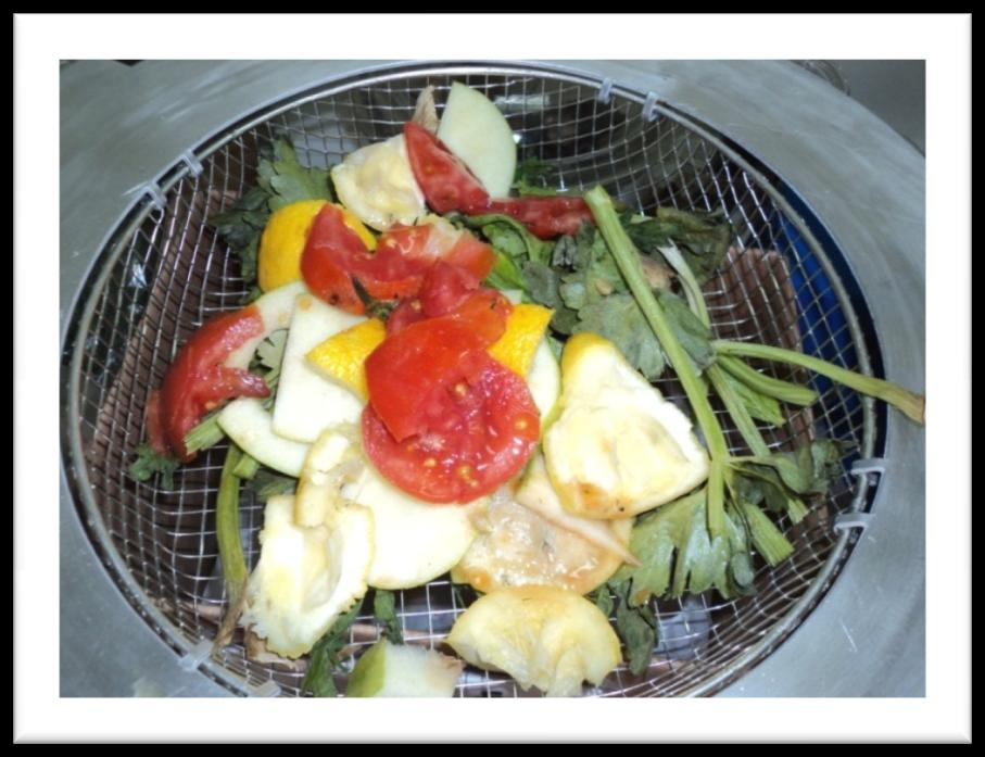 Δείγμα 2 οσ ΚΥΚΛΟΣ ΜΑΗΑ (=750gr) 7 Ντομάτα-Ρορτοκάλι-Μιλο- Φαςόλια 8 Ντομάτα-Ρορτοκάλι-Μιλο- Ανανασ 9 Φαςολάκι-Αγγουράκια- Ντομάτα-Κρεμμφδι 10 Ριπεριά-Ντομάτα-Αγγουράκια- Ρεπόνι 11