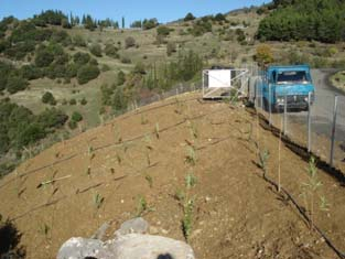 ΣΕΛ. 2 Χαρακτηριστικό είναι ότι σήµερα στην Περιφέρεια υτικής ς δεν υπάρχει πια ούτε µία παράνοµη χωµατερή, ενώ µόνο 3 παραµένουν σε λειτουργία στην Περιφέρεια ς, η οποία ήταν ανάµεσα σε αυτές µε το