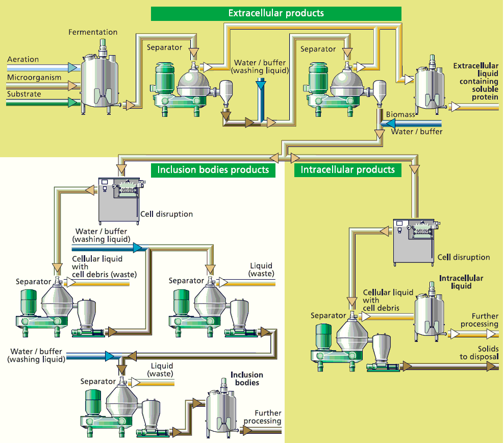 UTILIZAREA SEPARATOARELOR CENTRIFUGALE PENTRU RECOLTAREA CELULELOR Produse extracelulare Produse extracelulare Corpi de incluziune