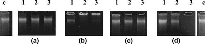 474 A.Th. Chaviara et al. / Journal of Inorganic Biochemistry 99 (2005) 467 476 Table 5 IC 50 values of the Cu(II) Schiff mono- and di-base complexes against MRC5, HeLa, MCF7, T47D and HT-29 cells o.