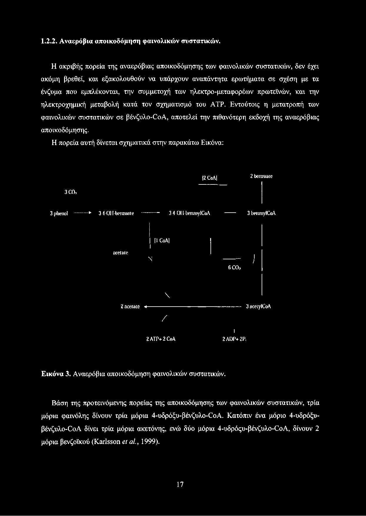 των ηλεκτρο-μεταφορέων πρωτεϊνών, και την ηλεκτροχημική μεταβολή κατά τον σχηματισμό του ΑΤΡ.