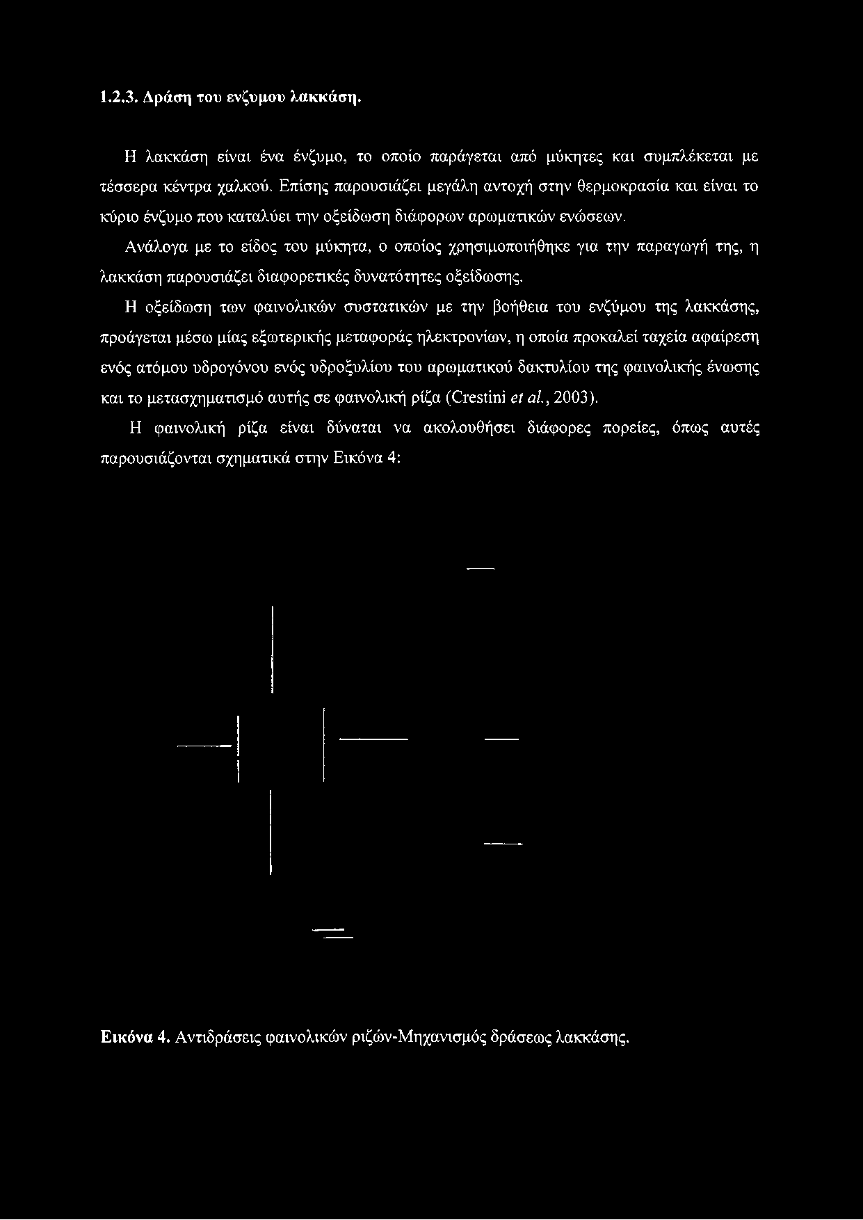 Ανάλογα με το είδος του μύκητα, ο οποίος χρησιμοποιήθηκε για την παραγωγή της, η λακκάση παρουσιάζει διαφορετικές δυνατότητες οξείδωσης.