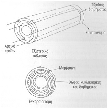 μεμβράνη Διάταξη