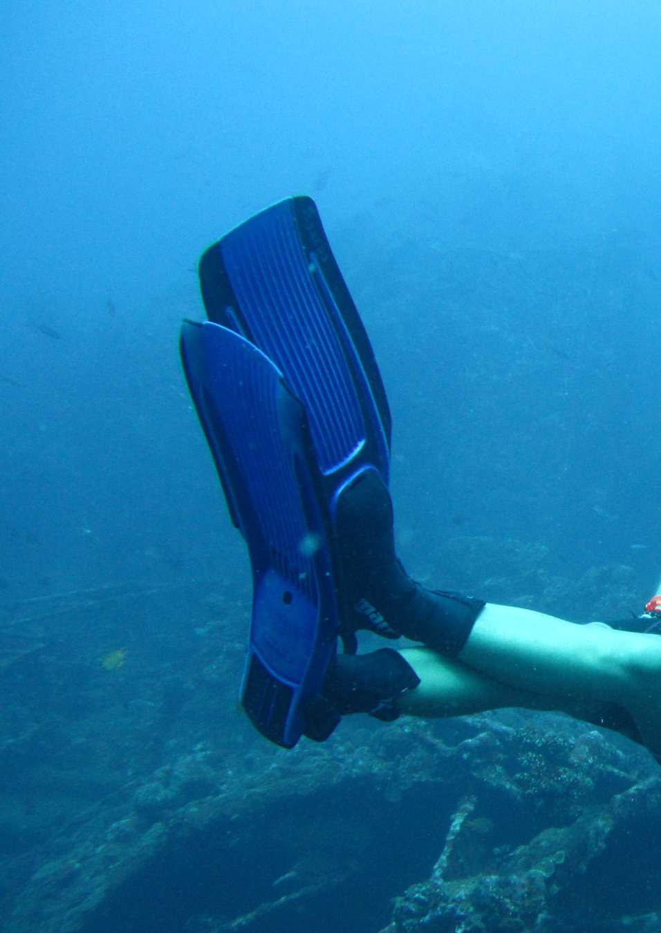 Συνοδός 1. Συνοδός, οδηγός αυτοδυτών Divemaster Το πρόγραμμα αυτό είναι σχεδιασμένο για να συμβάλει στην ανάπτυξη των ικανοτήτων αρχηγού, οδηγού κατάδυσης και βοηθού εκπαιδευτή.