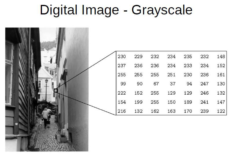Exercise 2 Implement a function mynormalize that attempts to normalize a uint8 grayscale image to the interval 0 255.