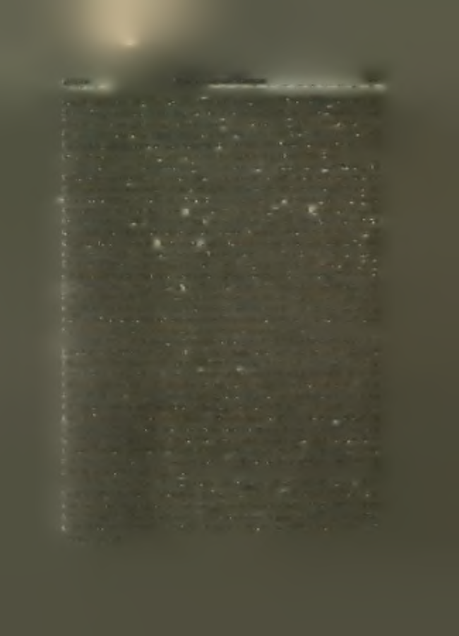1300 π.χ.