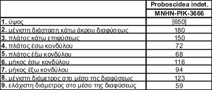 21.  κνήμης. 160