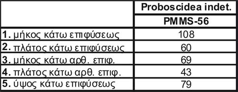 Πιν. 22.