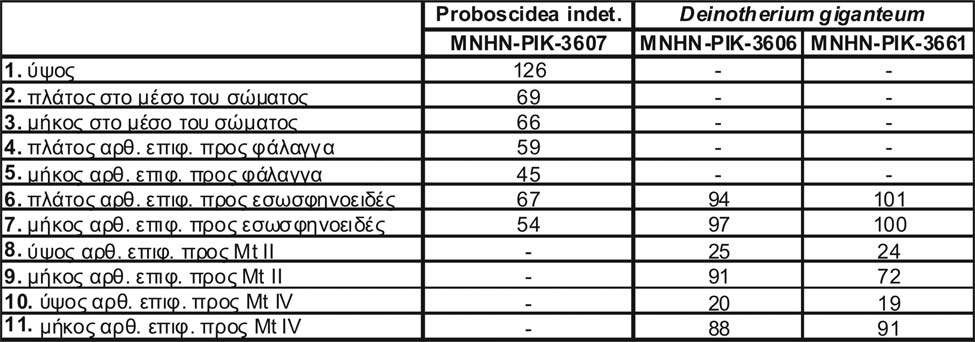 δεύτερου μεταταρσικού.