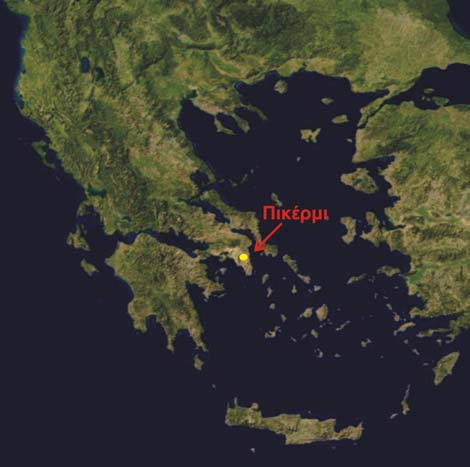 II. Πικέρμι Το Πικέρμι βρίσκεται στην Ανατολική Αττική, στις παρυφές του Πεντελικού όρους και περίπου 19 χιλιόμετρα βορειοανατολικά των Αθηνών (Σχ. 1.4). Σχ. 1.4. Γεωγραφική τοποθέτηση του Πικερμίου.