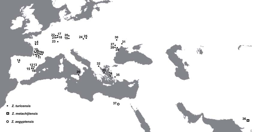 31. Sofca, Τουρκία 32. Akin, Τουρκία 33. Garkin, Τουρκία 34. Kemiklitepe, Τουρκία 35. Esme Akçaköy, Τουρκία 36. Kayadibi, Τουρκία 37. Akkaşdaği, Τουρκία 38. Dadasun, Τουρκία 39. Duzyala, Τουρκία 40.
