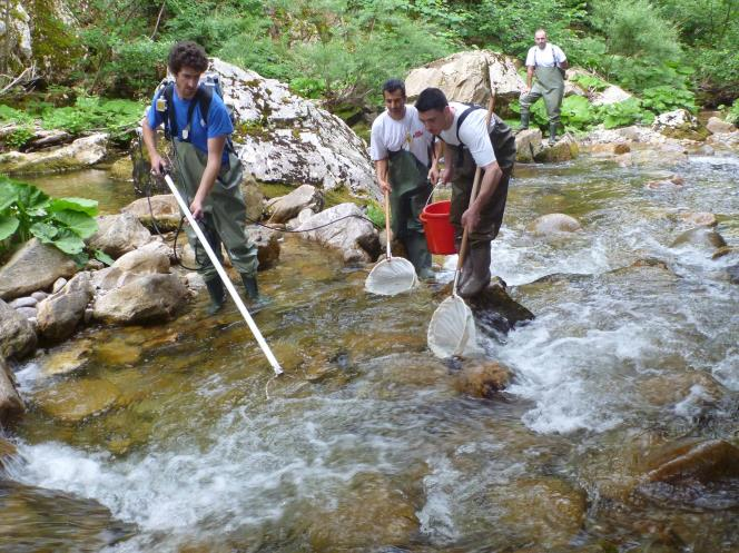 Δράσεις για την εκτίμηση της ελάχιστης παροχής του π.