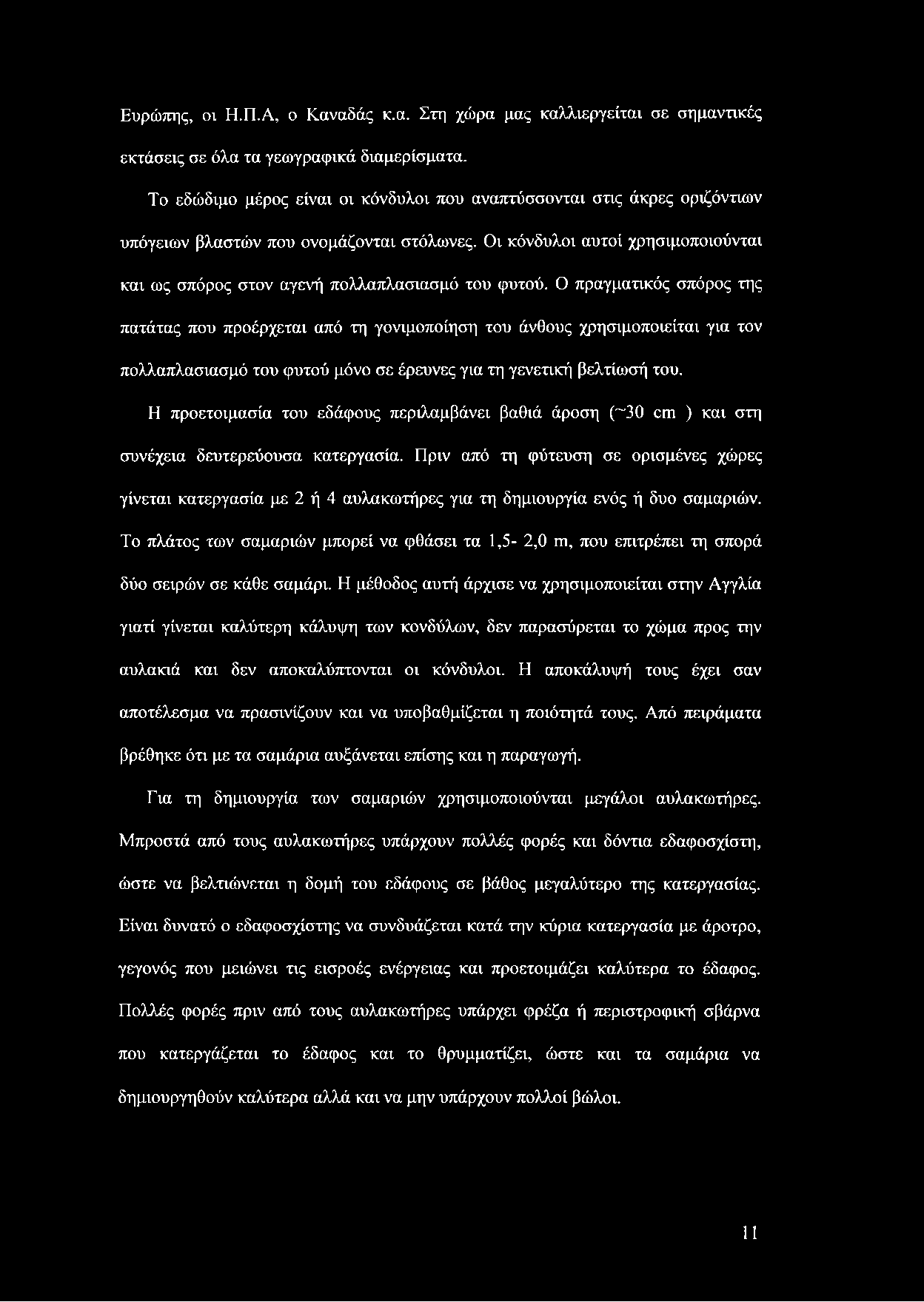 Οι κόνδυλοι αυτοί χρησιμοποιούνται και ως σπόρος στον αγενή πολλαπλασιασμό του φυτού.