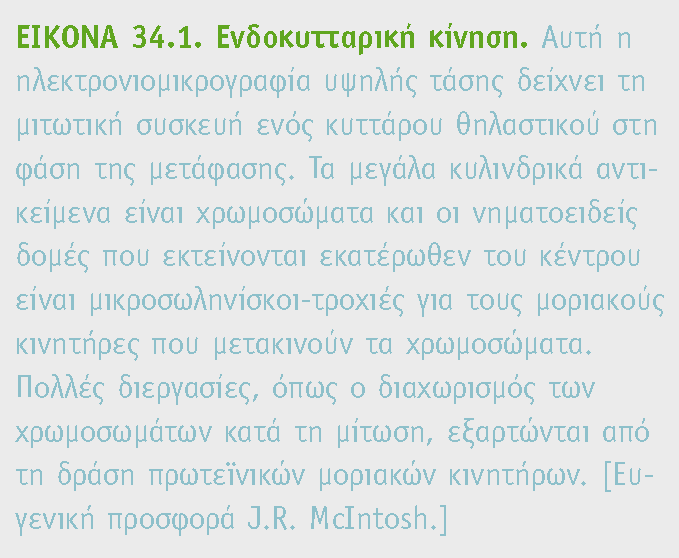 ΚΙΝΗΣΗΣ