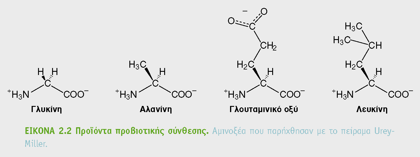 ΑΜΙΝΟΞΕΑ ΠΑΡΑΓΟΝΤΑΙ