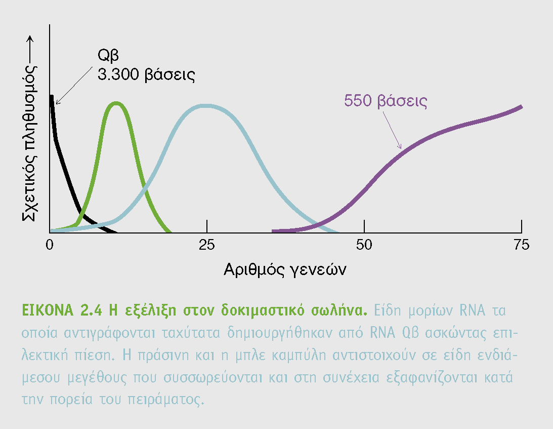 ΠΕΙΡΑΜΑ