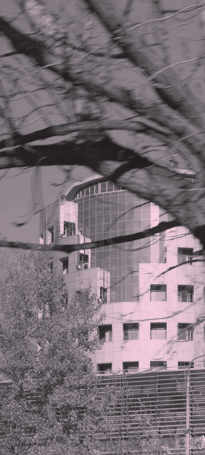 ΠΕΡΙΕΧΟΜΕΝΟ ΜΑΘΗΜΑΤΩΝ ΤΟΥ ΠΡΟΠΤΥΧΙΑΚΟΥ ΠΡΟΓΡΑΜΜΑΤΟΣ ΣΠΟΥ ΩΝ Ἡ διδαχὴ µεταρυσµοῖ τὴν φύσιν µεταρυσµοῦσα δὲ