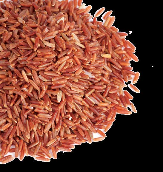 ΚΟΚΚΙΝΟ ΡΥΖΙ / ΜΟΝΑΚΟΛΙΝΗ Κ Η μαγιά του Κόκκινου Ρυζιού (red yeast rice) παράγεται από τη ζύμωσή του με το Μύκητα Monascus purpureus.