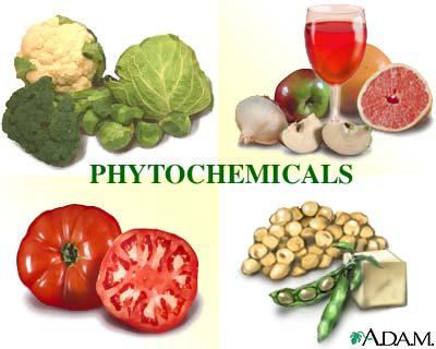 Preserving the Nutrients: Minimizing Nutrient Losses Oxygen MINIMIZE: Temperature Light The more you expose your nutrients to extremes, the more