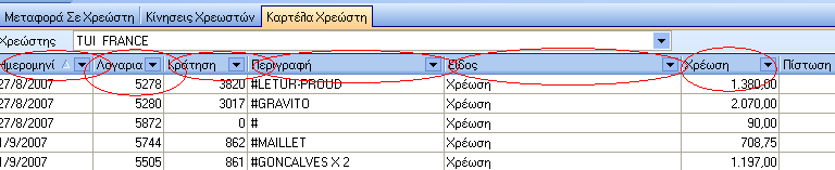 καρτέλα χρεώστη.