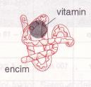 Vitamini kot sestavni del encimov aktivirajo delovanje encima pomankanje