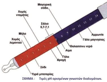 Ιοντισμός του νερού - ph Η γνώση της τιμής του ph είναι σημαντική στη βιομηχανία, στην αναλυτική χημεία, στη βιοχημεία, στην ιατρική κ.λπ.