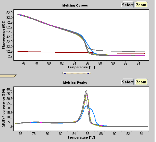 Ανάλυση HRM για τα υπόλοιπα εξόνια PALB2 Τα υπόλοιπα 11 μικρά εξόνια εξετάστηκαν με High Resolution Melting (HRM) στο LS32 παρουσία της χρωστικής