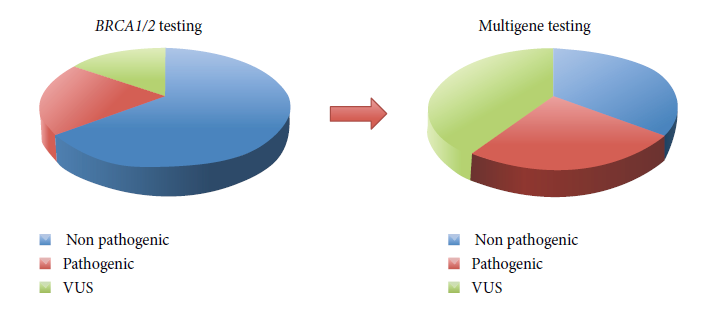 Αύξηση θετικών ευρημάτων και VUS Variant of Unknown Significance 13% VUS BRCA testing Frank T. et al., JCO (2010), 20, 480 Toss A. et al., Biomed Res. Int.