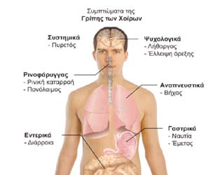 Πανδημία Πίνακας 1. Στοιχεία πανδημίας Πίνακας 2. Χρόνος επιβίωσης των ιών της γρίππης στο περιβάλλον και το δέρμα.