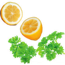 CREMĂ PENTRU DEPIGMENTARE, 100 ml Tip de ten: ten pătat, pistruiat, cu pete pigmentare. Efect: noile ingrediente speciale din ulei de ricin împiedică pigmentarea defectuoasă.