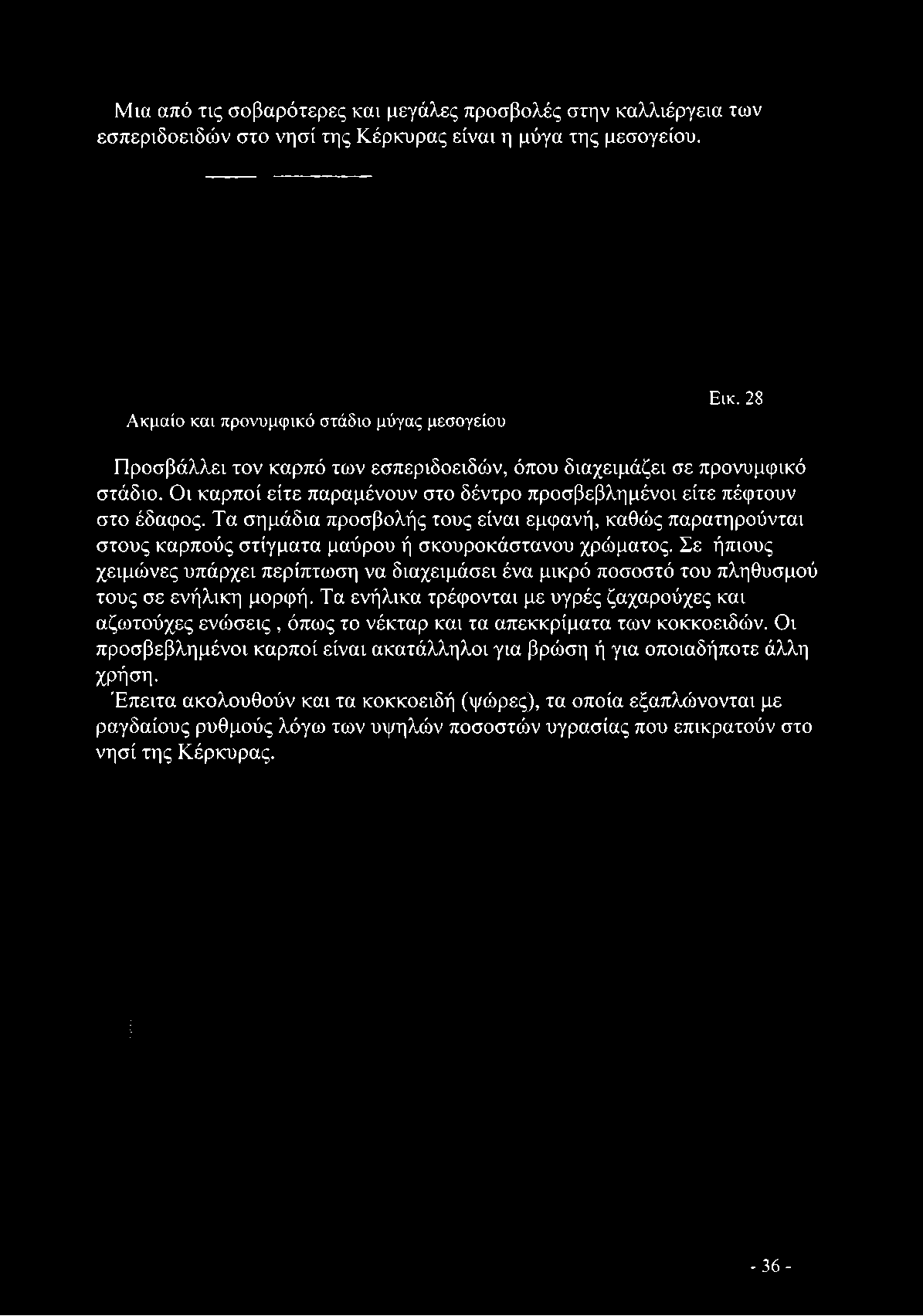 Τα σημάδια προσβολής τους είναι εμφανή, καθώς παρατηρούνται στους καρπούς στίγματα μαύρου ή