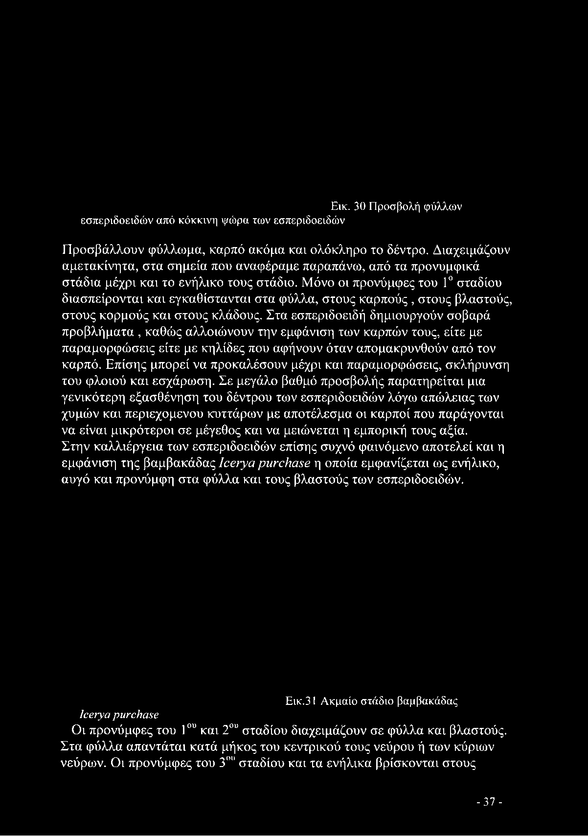 αφήνουν όταν απομακρυνθούν από τον καρπό. Επίσης μπορεί να προκαλέσουν μέχρι και παραμορφώσεις, σκλήρυνση του φλοιού και εσχάρωση.