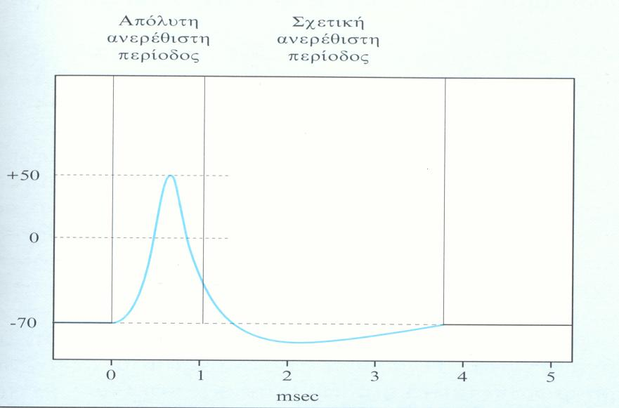 Ιδιότητες των δυναμικών