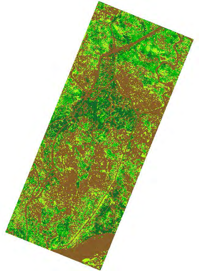 Αποτελέσματα & Συζήτηση Εικόνα 4.36: Ο παραχθείς χάρτης τύπων βλάστησης. Για την ταξινόμηση της εικόνας χρησιμοποιήθηκε η μέθοδος k-means σε περιβάλλον ERDAS Imagine.