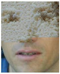 (δ) (ε) (στ) Σχήμα 1.