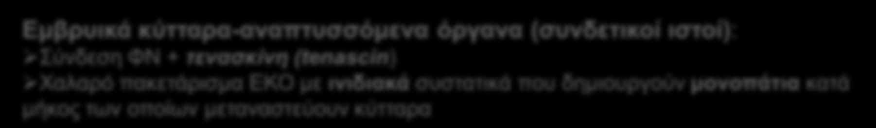 Φιμπρονεκτίνη ΠΡΩΤΕΙΝΕΣ ΕΚΟ ΠΟΛΛΑΠΛΗΣ ΠΡΟΣΚΟΛΛΗΣΗΣ και κυτταρική μετανάστευση Εμβρυικά
