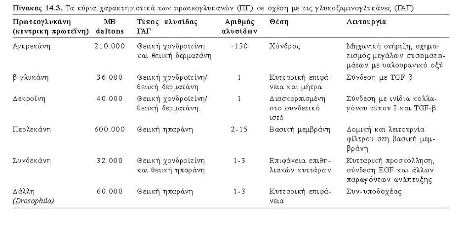 ΓΛΥΚΟΖΑΜΙΝΟΓΛΥΚΑΝΕΣ ΚΑΙ ΠΡΩΤΕΟΓΛΥΚΑΝΕΣ