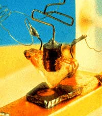 Evoluţia sistemelor explozie în domeniul electronicii şi în tehnologia informaţiilor 1940: Russell S.