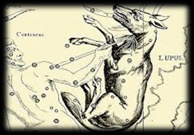 Λύκος Lupus (φαίνεται το Καλοκαίρι) Είναι αστερισμός που σημειώθηκε στην αρχαιότητα από τον Πτολεμαίο και είναι ένας από τους 88 επίσημους αστερισμούς που θέσπισε η Διεθνής Αστρονομική Ένωση.