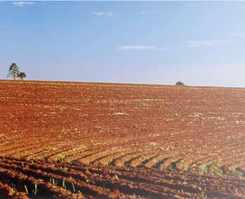 Rotoren. Con la protección delantera evitamos que las piedras produczan daños en el rotor.