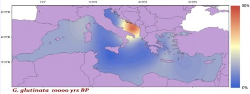 διακύμανσης