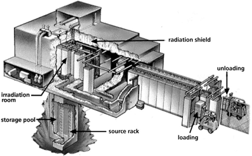 Διαδικασία ακτινοβόλησης Έκθεση σε ραδιενεργό πηγή (συνήθως 60 Co γ ακτινοβολία) Το κοβάλτιο-60 έχει χρόνο ημιζωής 5,3 έτη και εκπέμπει ακτίνες γ με μεγάλη διεισδυτική ικανότητα σε δύο μήκη κύματος