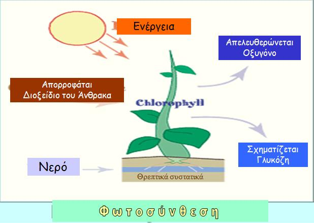 ΘΕΡΜΟΚΗΠΙΟΥ Τα τελευταία χρόνια οι καύσεις (βιομηχανίες, αυτοκίνητα, κατοικίες) και άλλες δραστηριότητες αυξάνονται συνεχώς.