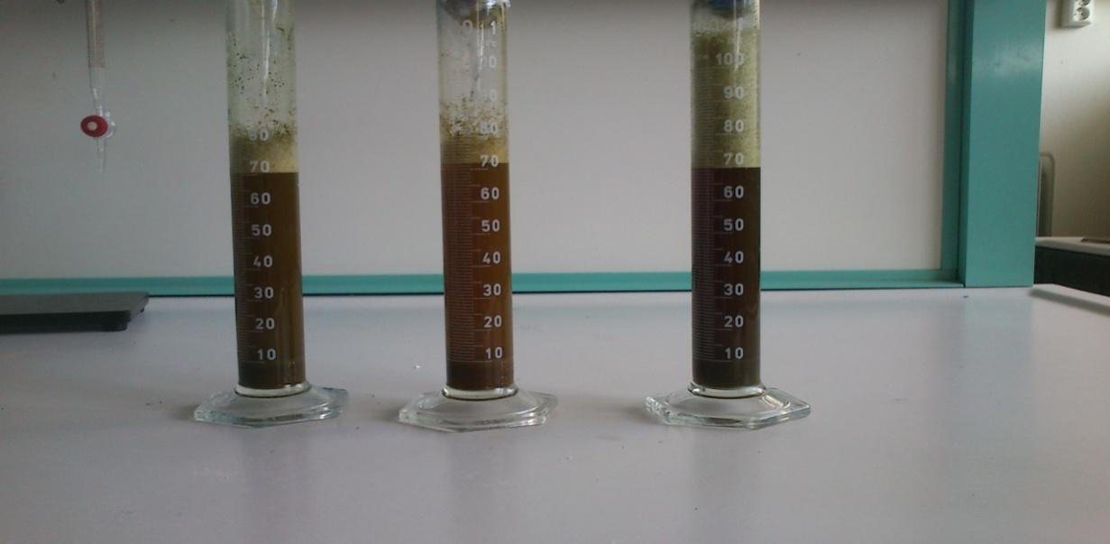 Εικόνα 10:Bromophenol blue στον κύλινδρο δοκιμής Εικόνα 11: O κύλινδρος δοκιμής σε κατάσταση
