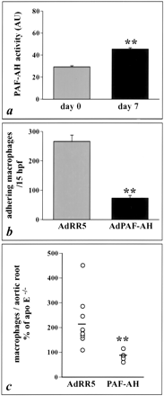 Effect of adenovirus-mediated expression of PAF-AH on endothelial