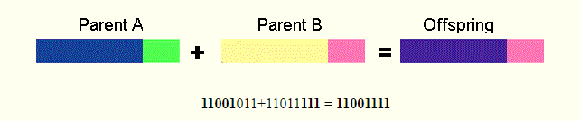 Διασταύρωση (Crossover ή mating) (2) Διασταύρωση ενός σημείου (one point crossover) Σε αυτήν την διασταύρωση επιλέγεται ένα σημείο p.